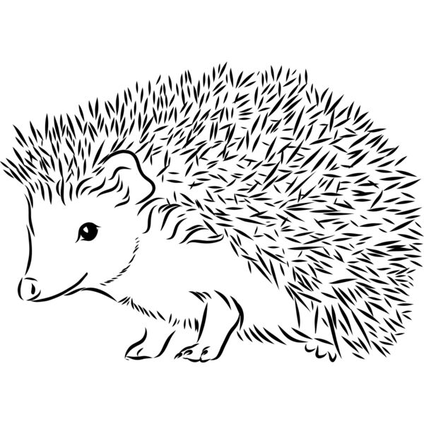 Hedgehog   Clipart 2 Miniaturansicht