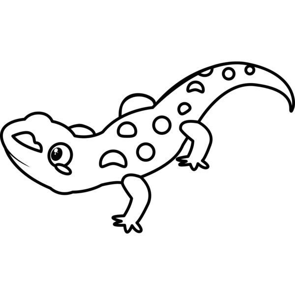 Newt   Clipart 2 Miniaturansicht