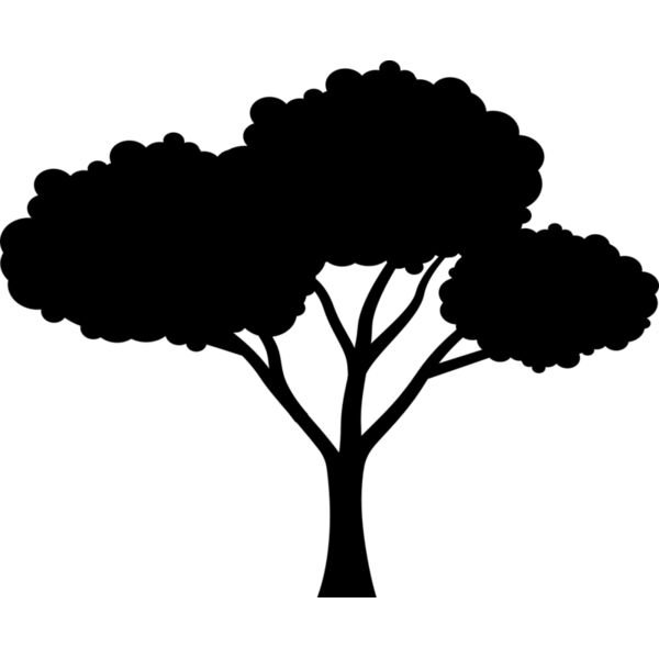 40 Tree Miniaturansicht